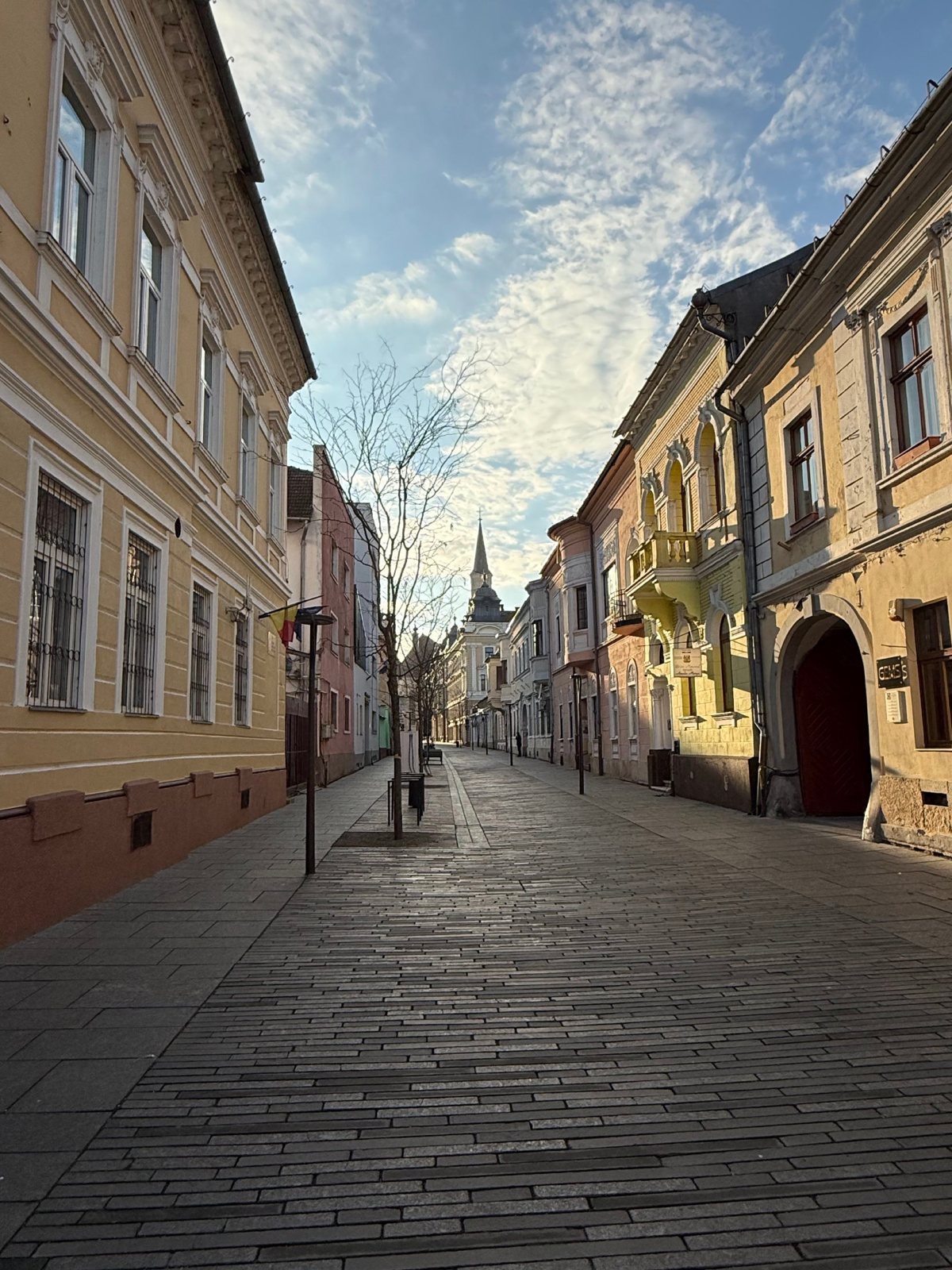 Iuliu Maniu street by day